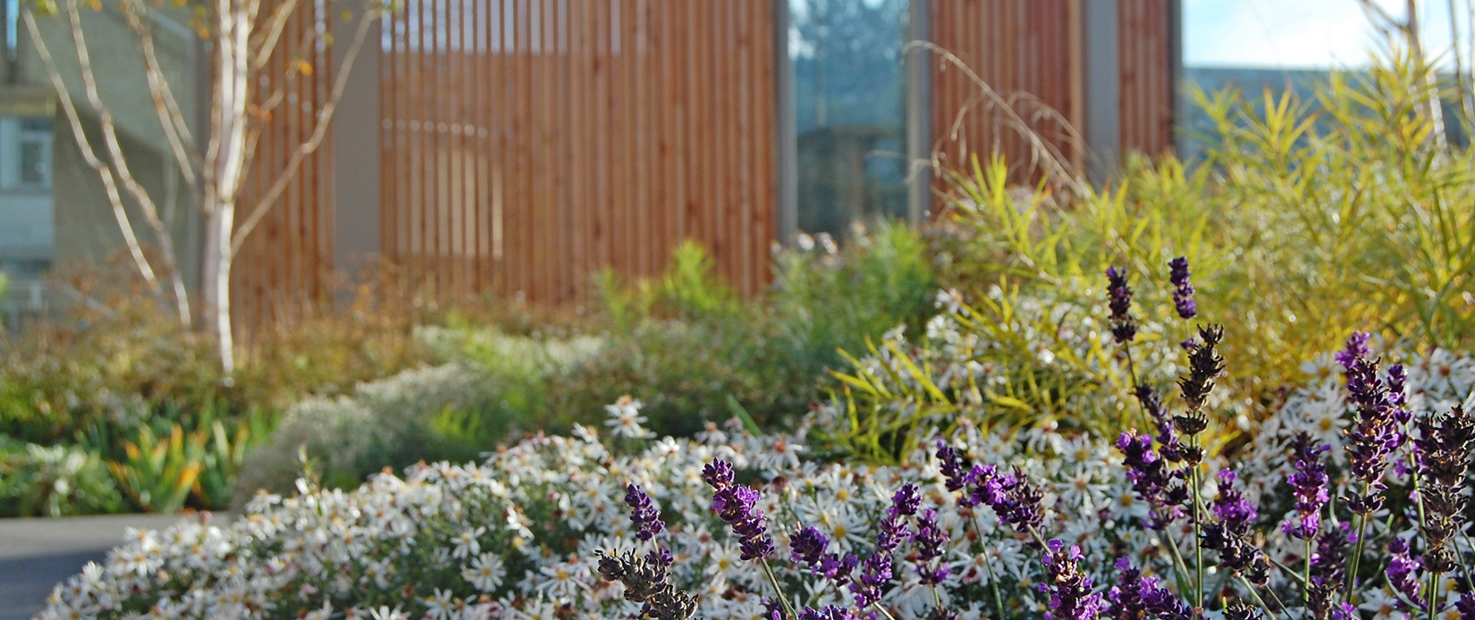 Gartenplanung mit guten Ideen