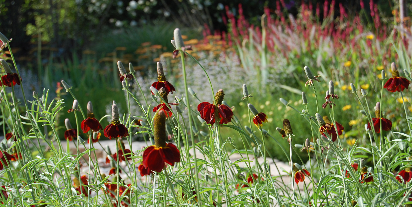 Gartenneugestaltung und Beratung mit Elke Lilje