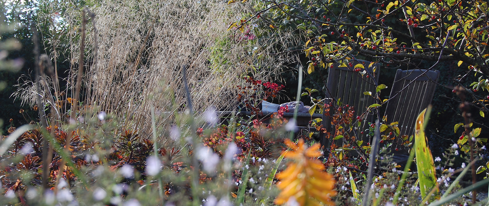 Staudengerahmter Sitzplatz in de Herbstsonne