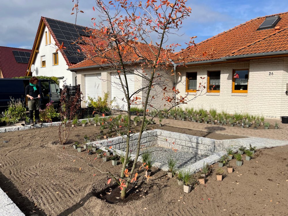 Die Landschaftsbaufirma hat den Rasen abgetragen, Sand und Humus in den Boden für die Pflanzung eingearbeitet. Auch die Gehölze haben bereits ihren Platz gefunden.