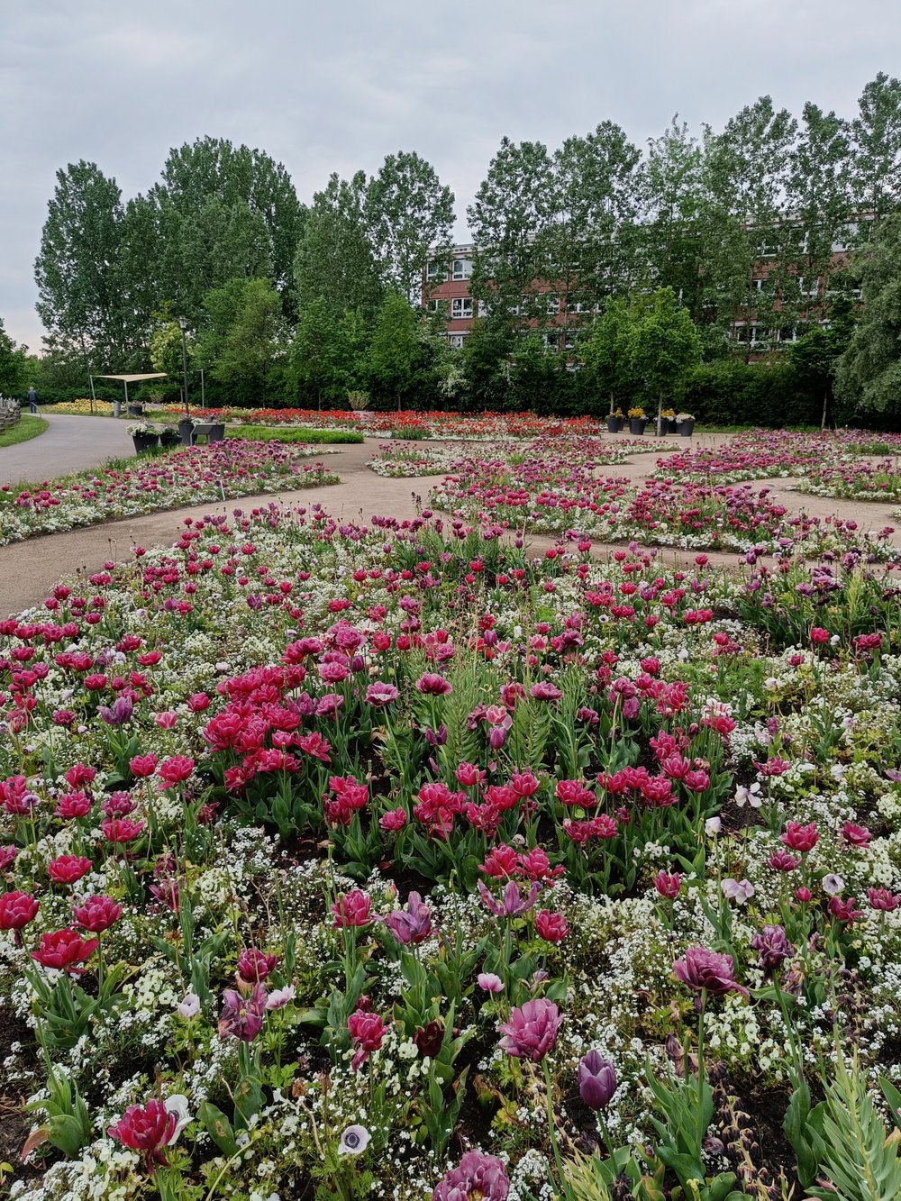 Frühjahrsflor im Dahliengarten 2023