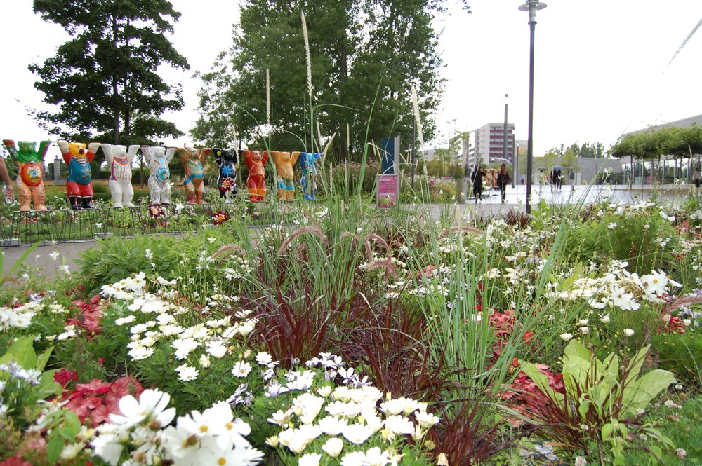 Rot weiß im Sommerflor